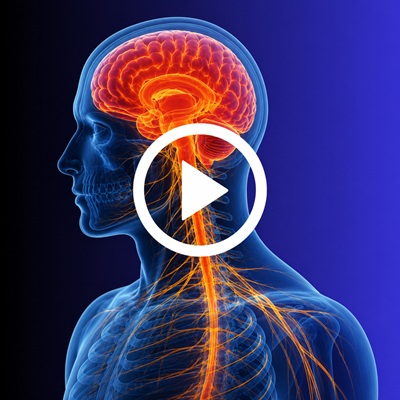 Cápsula de Neurología
