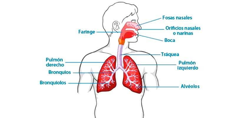 Cetosis respiratoria menopausia