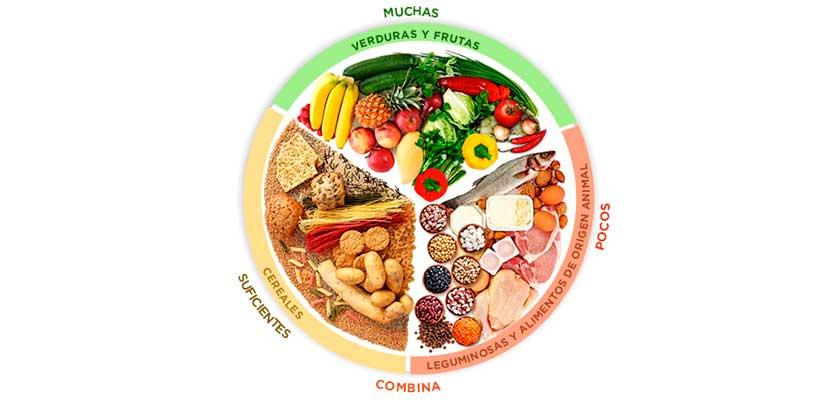 PLATO DEL BIEN COMER | actuamed PLATO DEL BIEN COMER | actuamed
